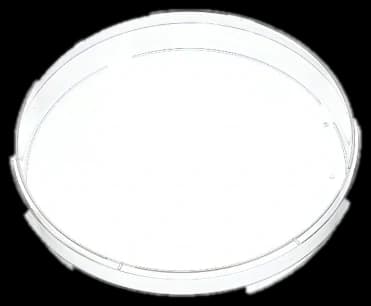 Sterilized Cell Culture Petri Dish Plastic - 30x15mm - 60x15mm - 90x15mm - 10 Pack